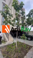 Private, Premium & Prestigious – 5 Bedroom Mansion in Ikoyi