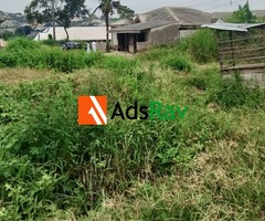 Invest in Ikorodu! Corner Piece Half Plot Available - Call 09023911804