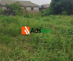Invest in Ikorodu! Corner Piece Half Plot Available - Call 09023911804 - 2