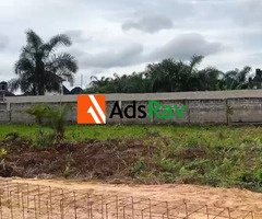 Premium Living Awaits You at Olive Gardens Estate - 3