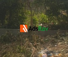 Buy 3 Plots at Aseese – Prime Location