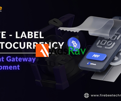 Boost Your Business with White Label Crypto Payment Gateway Development!