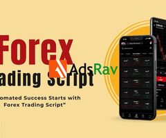 Forex Trading Script in USA
