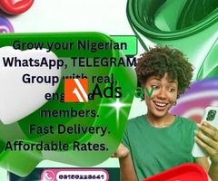 Active Nigerian WhatsApp, Telegram Group Members (100% Verified) - 2