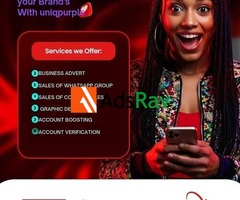 UniQ Purple: The Kingmaker – CAC Registration & Global Account Verification Nigeria