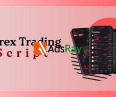 Top Forex Trading Script in USA