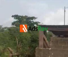 Affordable Large Land with Documents in Ogun State - call 09069260403 - 2