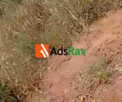 Affordable Plots for Sale in Aboh Ubowalla, Imo State - Call 08106752301 - 2