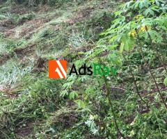 Hot Property Alert: Land for Sale in Fast Growing Shimawa - call 08154204318