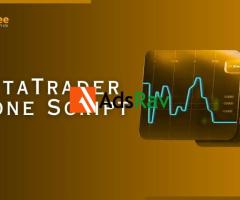 MetaTrader Clone Script – Launch Your Own Trading Platform Quickly