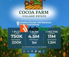 Beat Inflation with High-Yield Cocoa Investments in Ogun State- CALL 08023935202