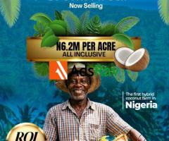 Build Long-Term Wealth with Àdàbà Coconut Farm & Resort Ogun State - Call 08023035202