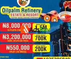 Invest in Oil Palm, Earn Passive Income for Decades at Ogun State - call 08023035202