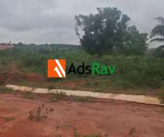 Affordable Land Sale Near Asaba – Limited Time Offer - Call 07061990110 - 3