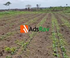 Ready to Operate 10 Acre Agricultural Investment Near Epe - call 08167163152