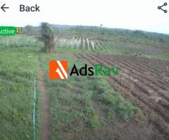 Ready to Operate 10 Acre Agricultural Investment Near Epe - call 08167163152 - 2