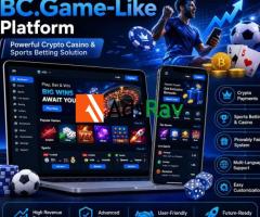 BC.Game Clone Script with Full Source Code - Instant Access