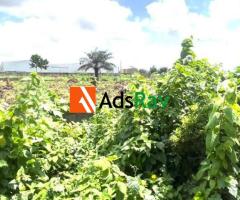 Prime 1,374sqm Commercial Land for Sale Along Badagry-Sokoto Superhighway - 4
