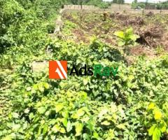 Prime 1,374sqm Commercial Land for Sale Along Badagry-Sokoto Superhighway - 5