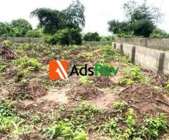 Prime 1,374sqm Commercial Land for Sale Along Badagry-Sokoto Superhighway - 6