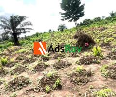 Prime 1,374sqm Commercial Land for Sale Along Badagry-Sokoto Superhighway - 7