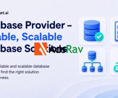 Discover a Powerful Database Provider for B2B Sales