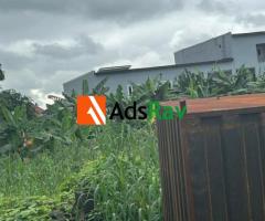 4 Plots of Land for Sale at Rumuokoro, Port Harcourt - Call 07032483044 - 3