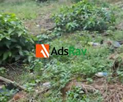 460SQM C of O Land for Sale in Magodo GRA Phase II - Call 08058619689