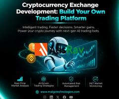 Cryptocurrency Exchange Development: Build Your Own Trading Platform