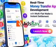 Launch a Money Transfer Business with Low Investment, High Returns