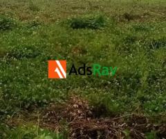 Hot Property Deal! 500SQM Estate Land in Lugbe, Abuja - Call 07064591862 - 2