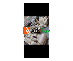 Sofa Fit for Royalty with Center Table Included