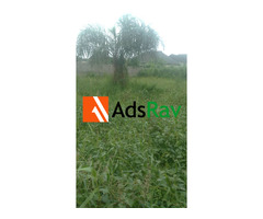 Affordable Residential Plot in Prime Lagos Location – Banana Estate - 2