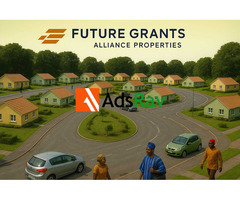 Professional Building Renovation and Real Estate Advisory Services