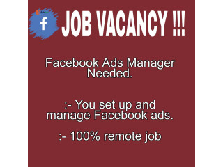 VACANCY! VACANCY!! VACANCY!!!  Set up and Manage Facebook ads (Whatsapp - 08103081455)
