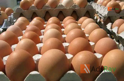 fresh-eggs-directly-from-farm-for-sale-big-1