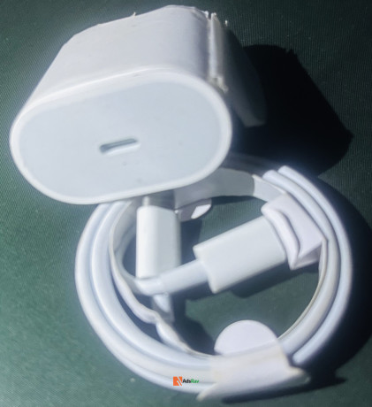 original-iphone-charger-big-1