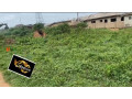 a-plot-of-land-for-sale-at-onimalu-ilogbo-road-facing-major-street-road-call-07042235880-small-2