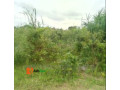 plots-of-land-for-sale-at-atan-ogun-state-call-08033086980-small-1