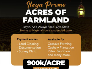 Lukom Agro Farm  Own Farmland in Iseyin for Just 900K/Acre! - Call 08168799684