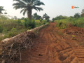 plots-of-land-for-sale-at-benin-call-08079729699-small-1