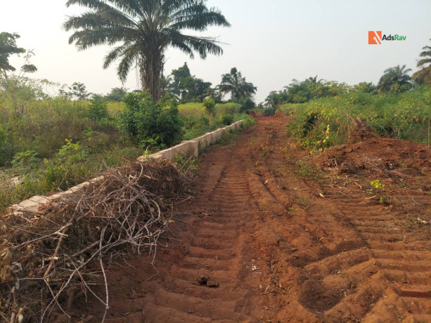 plots-of-land-for-sale-at-benin-call-08079729699-big-1