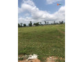 land-for-sale-at-kujeabuja-call-08051183352-small-3