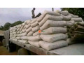 bua-cement-plants-small-4