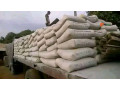 bua-cement-depot-small-1