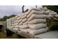 bua-cement-depot-small-1