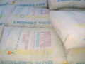 bua-cement-plc-small-0