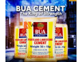 bua-cement-plants-small-0