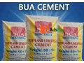 bua-cement-plants-small-2