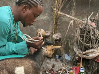 The Best Spiritual Powerful Herbalist In Nigeria +2348165837162